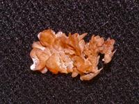 Crystals - Cream Of Tartar Calcium1